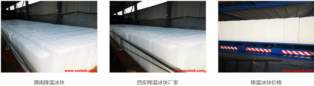 西安绿巨人官网免费下载在线观看用冰